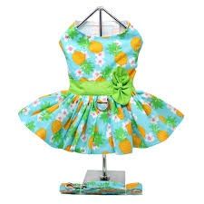 Dress with Matching Leash