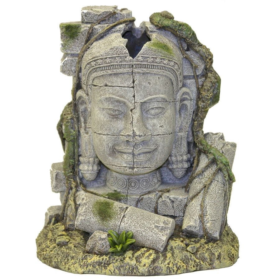 Ancient Stone Head Ruin