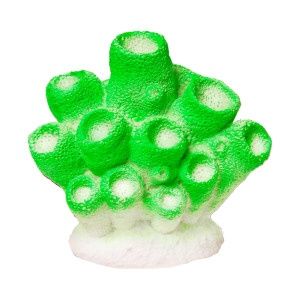 Green Sponge