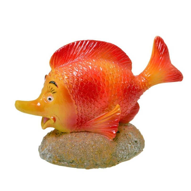 Orange Fish