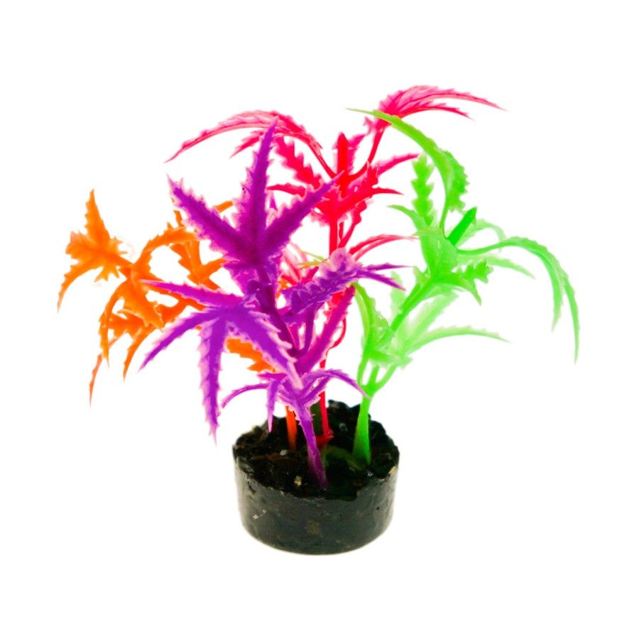 Coral Flower SM1 Jagged Sword Multi