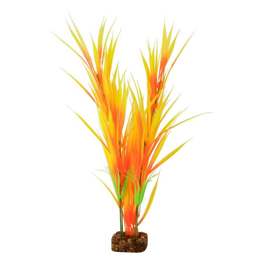 Coral Flower Long1