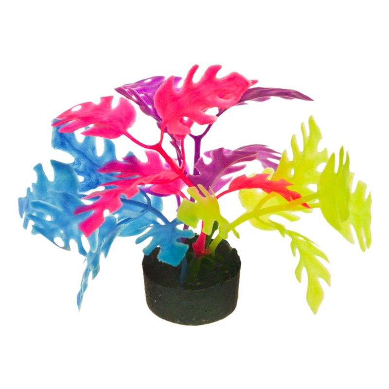 Coral Flower SM1 Philo Leaf Multi