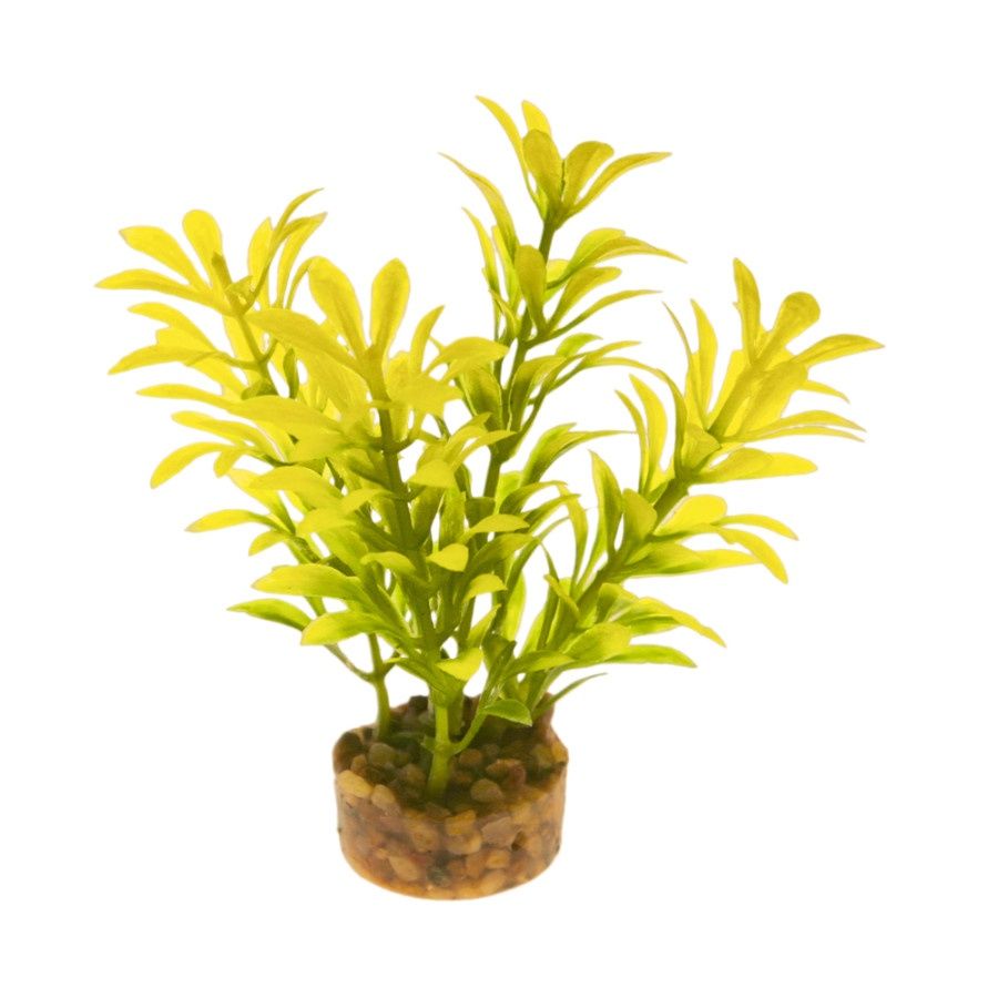 Coral Flower SM3 Laurel Leaf Yellow