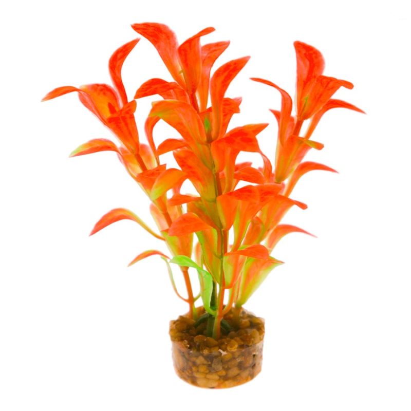 Coral Flower SM2 Scopp Leaf Orange