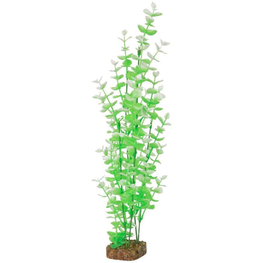 Coral Flower Long2