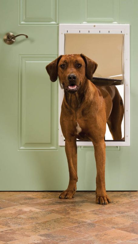 Petsafe Plastic Door Large