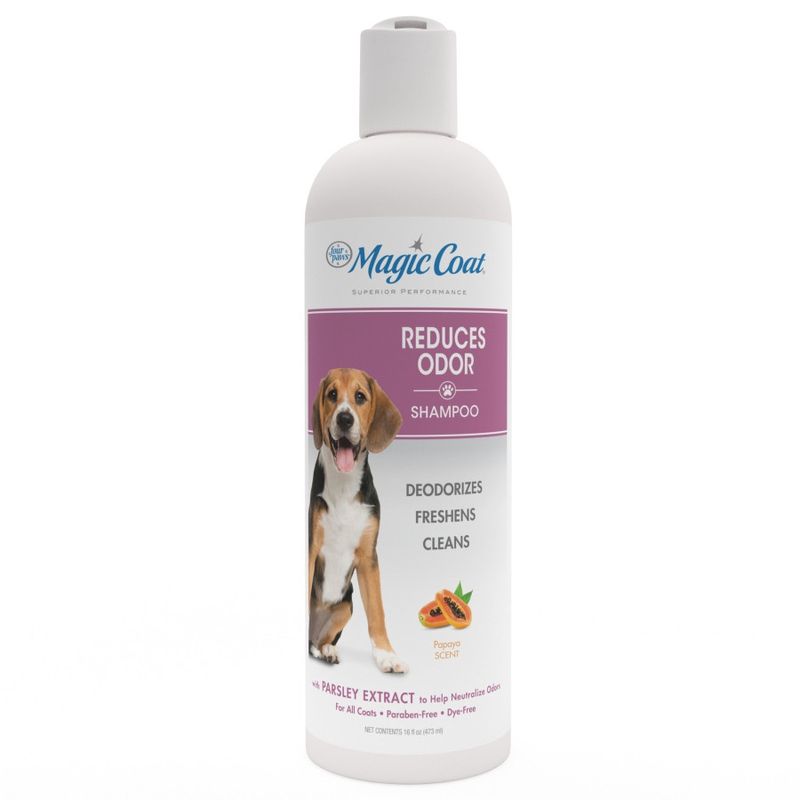 Shampoo Reduces Odor Magic 16 oz