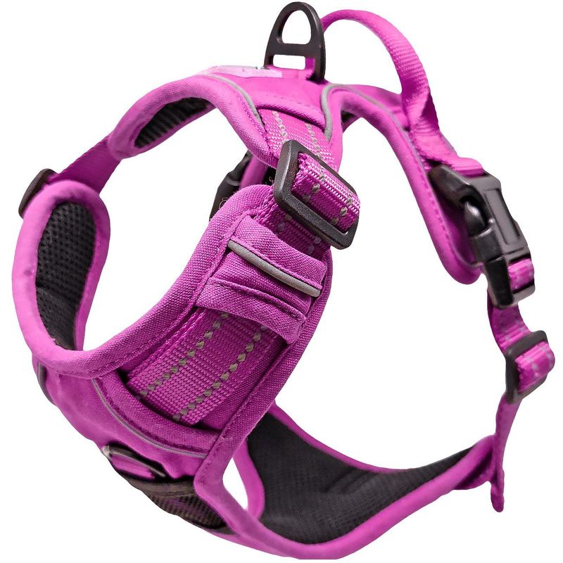 Venture Pull Control Harness