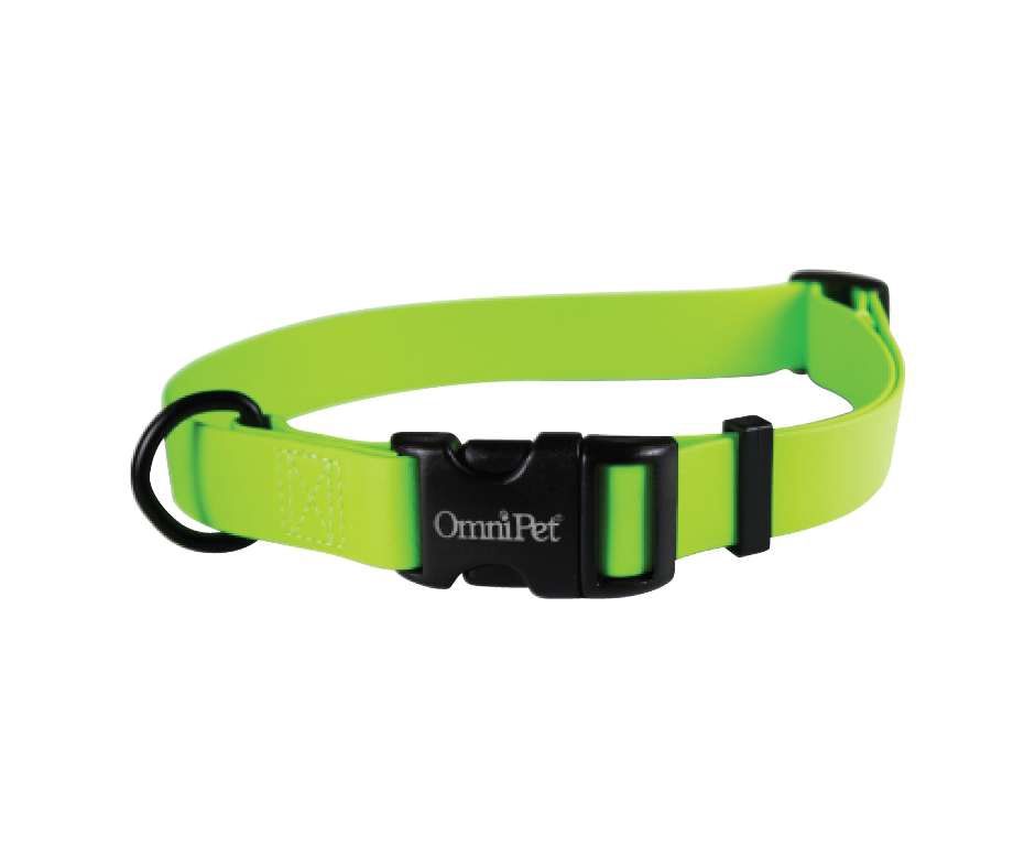 Carnival Adjustable Collar, Color: Green, Size: 14-20 inch