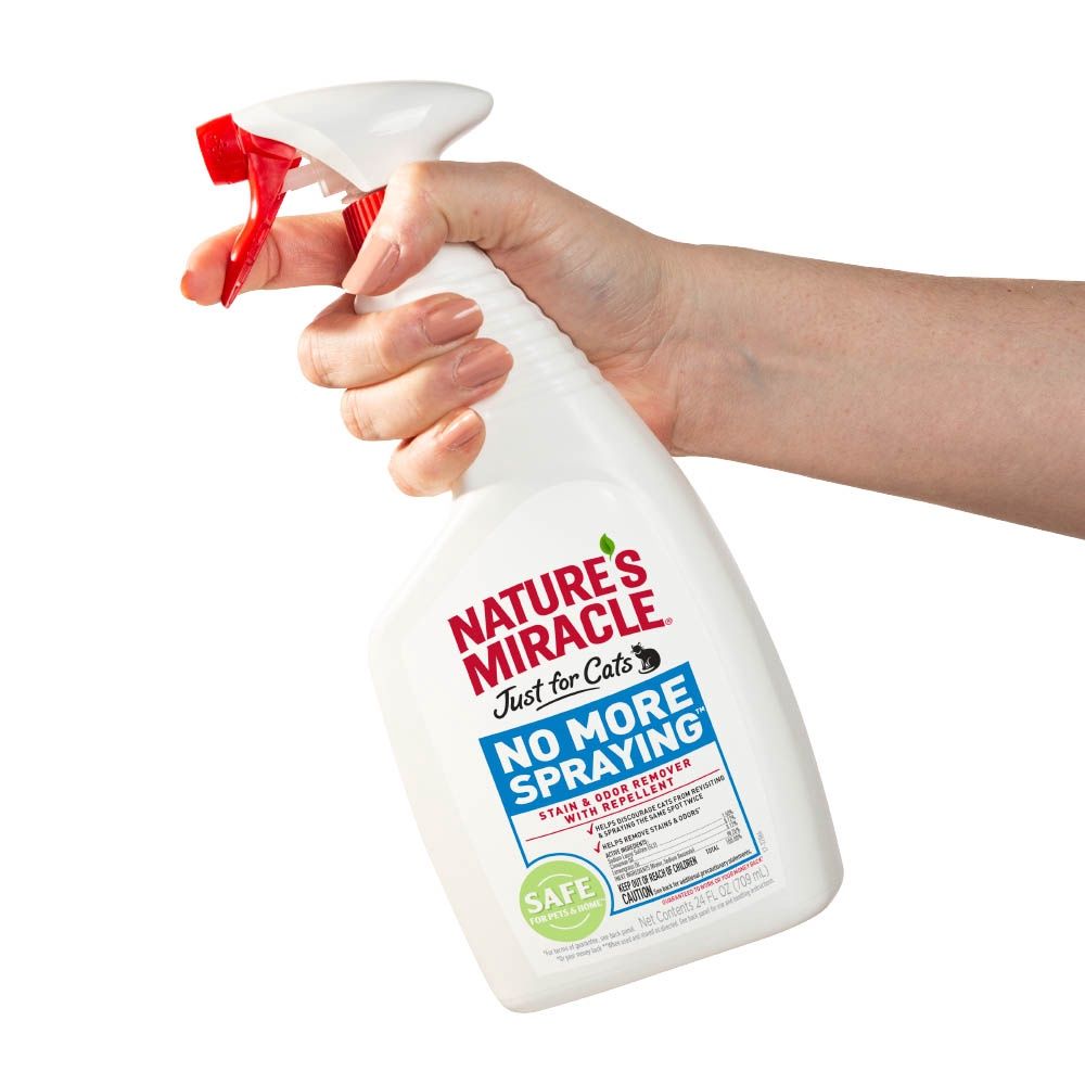 No More Spraying Cat