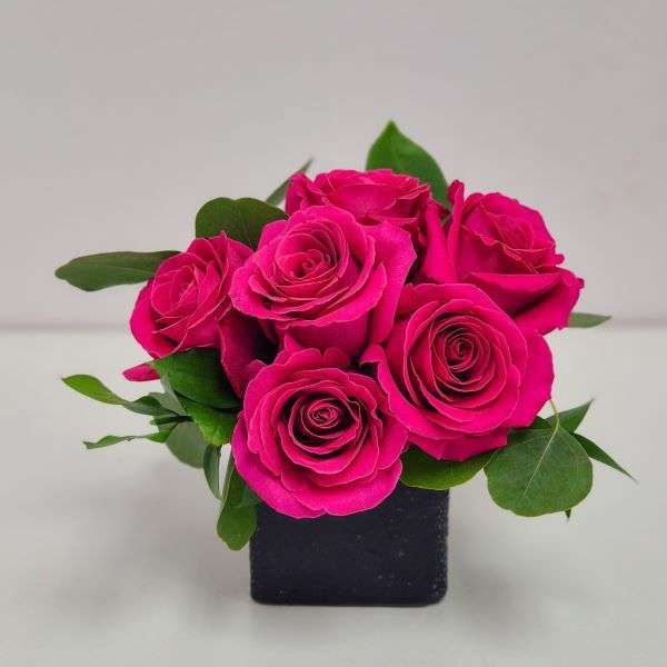 Strike A Rose