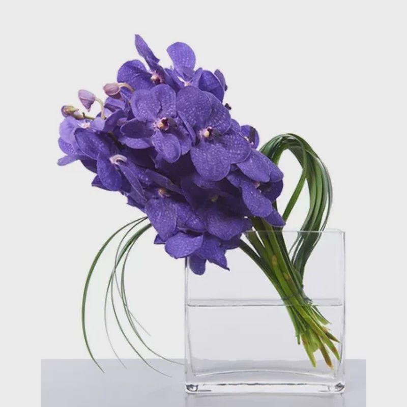 Vanda Orchid Vase