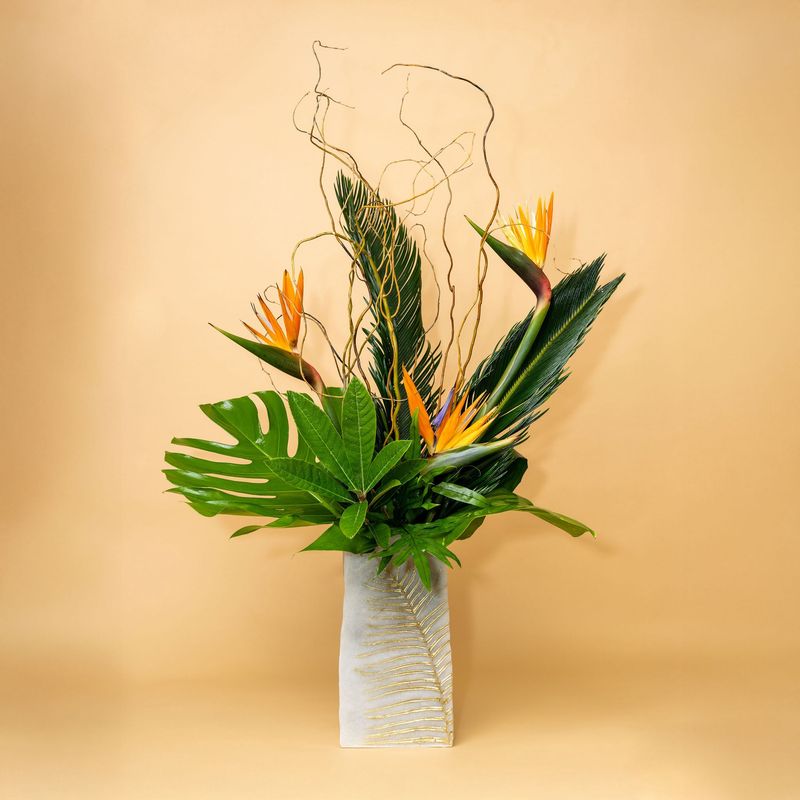 Island Tropical Elegance