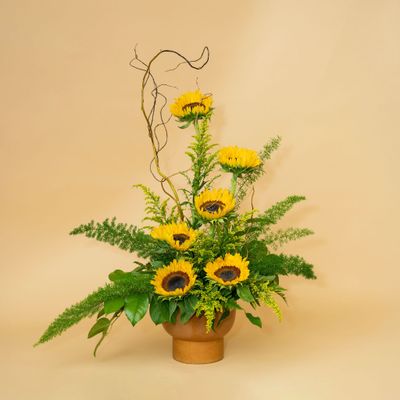 Garden Collection