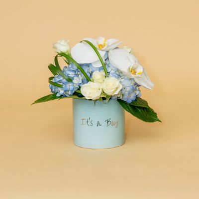 New Baby Collection