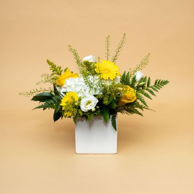 Sympathy Collection