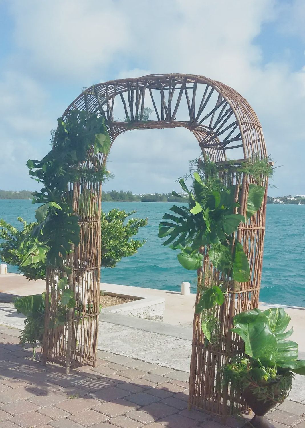 Rustic Tree Branch Arch
