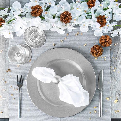 Metallic Silver Charger Plates