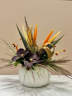 Fall Collection