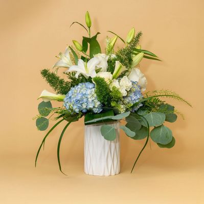Spring Collection