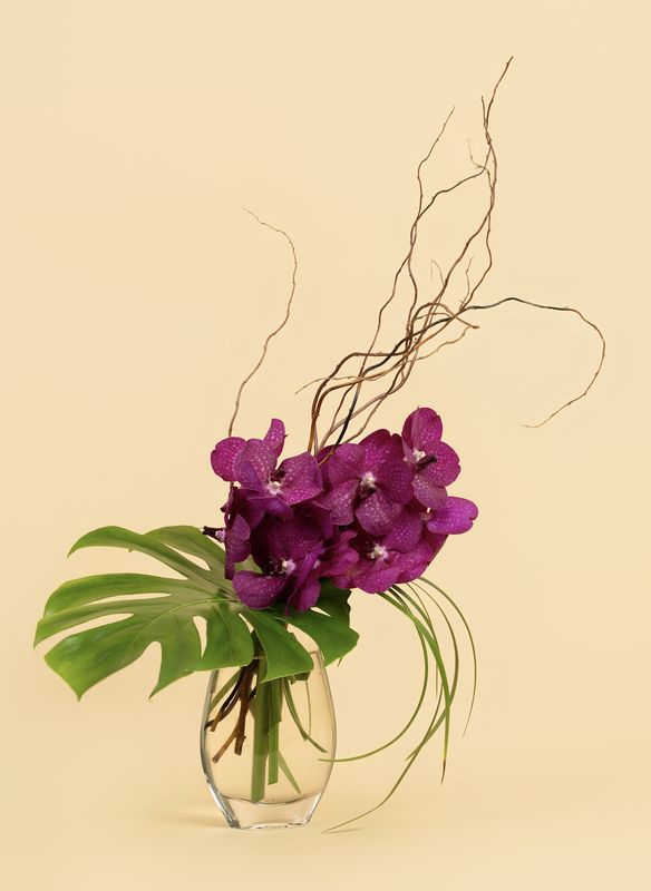 Vanda Orchid Vase