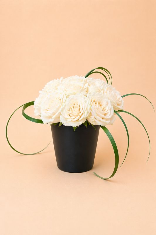 Maison Rose