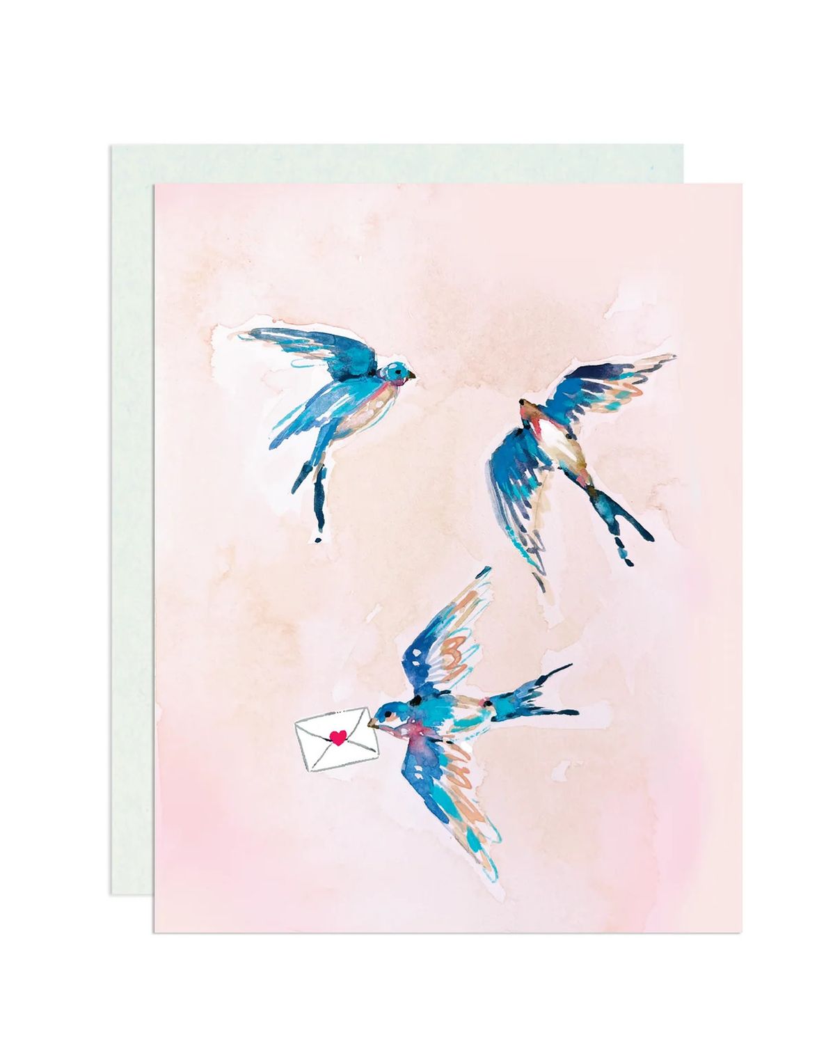 Swallows
