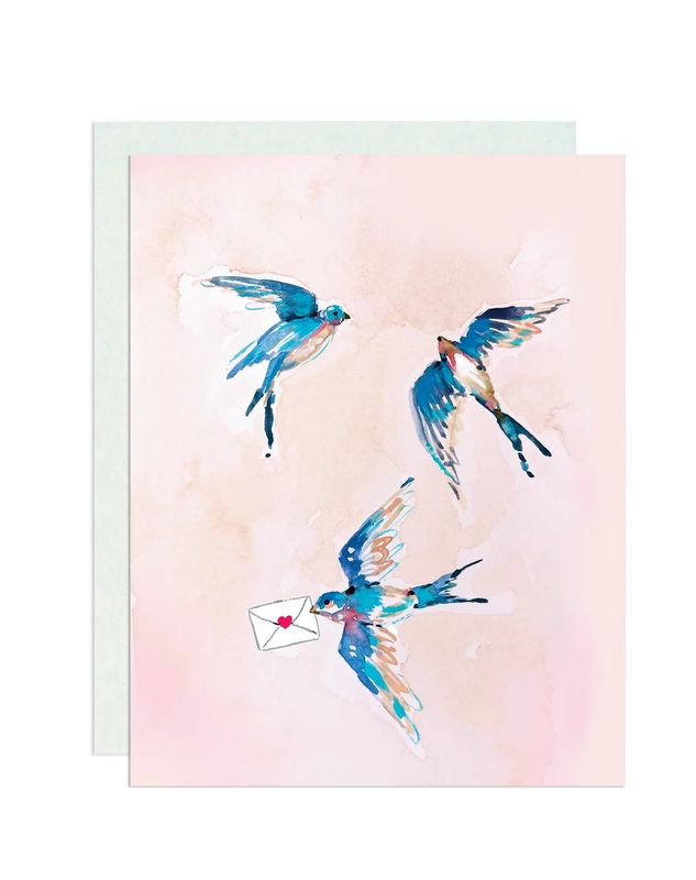 Swallows