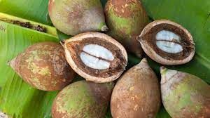 Babassu Oil