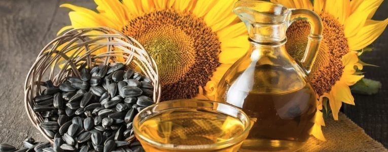 Sunflower Oil