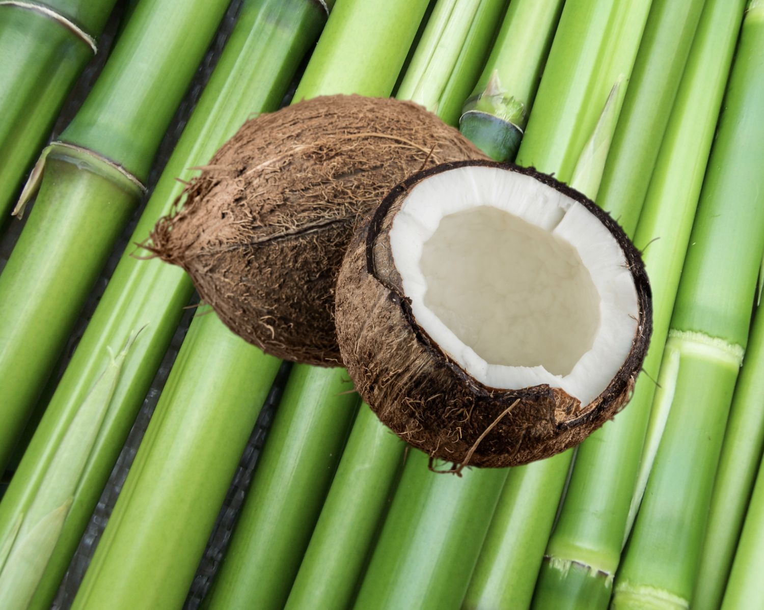 Bamboo and Coconut Fragrance Oil