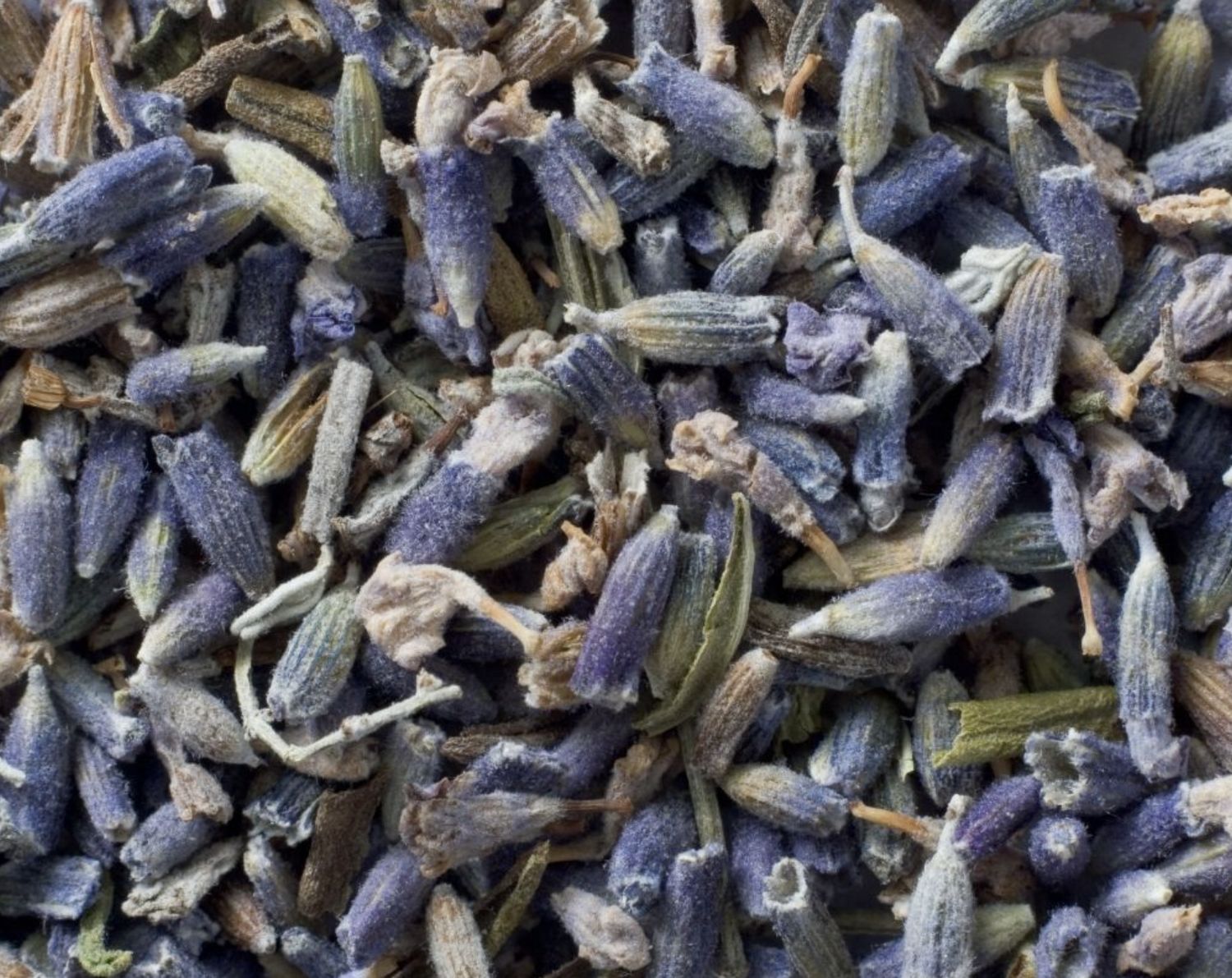 Dried Lavender Flowers