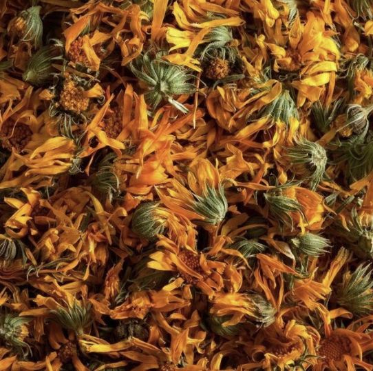Dried Calendula