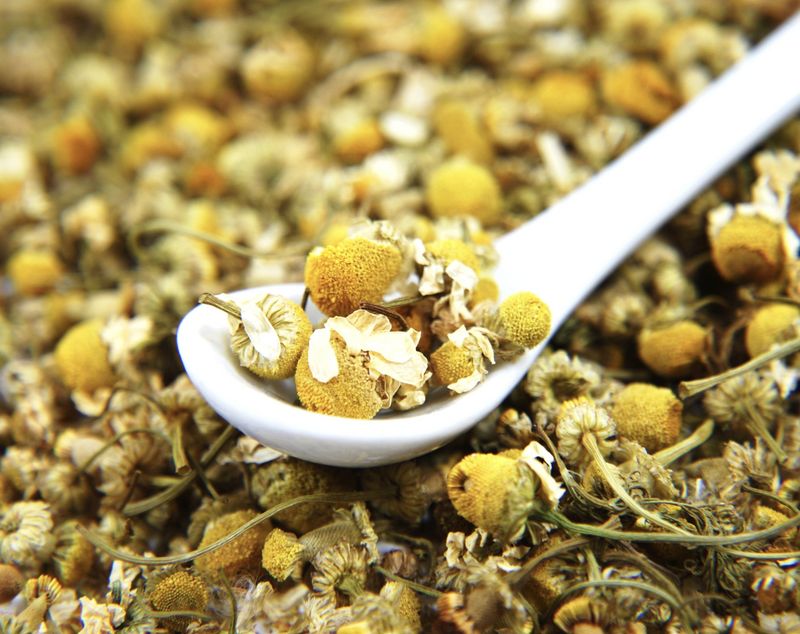 Dried Chamomile Flowers