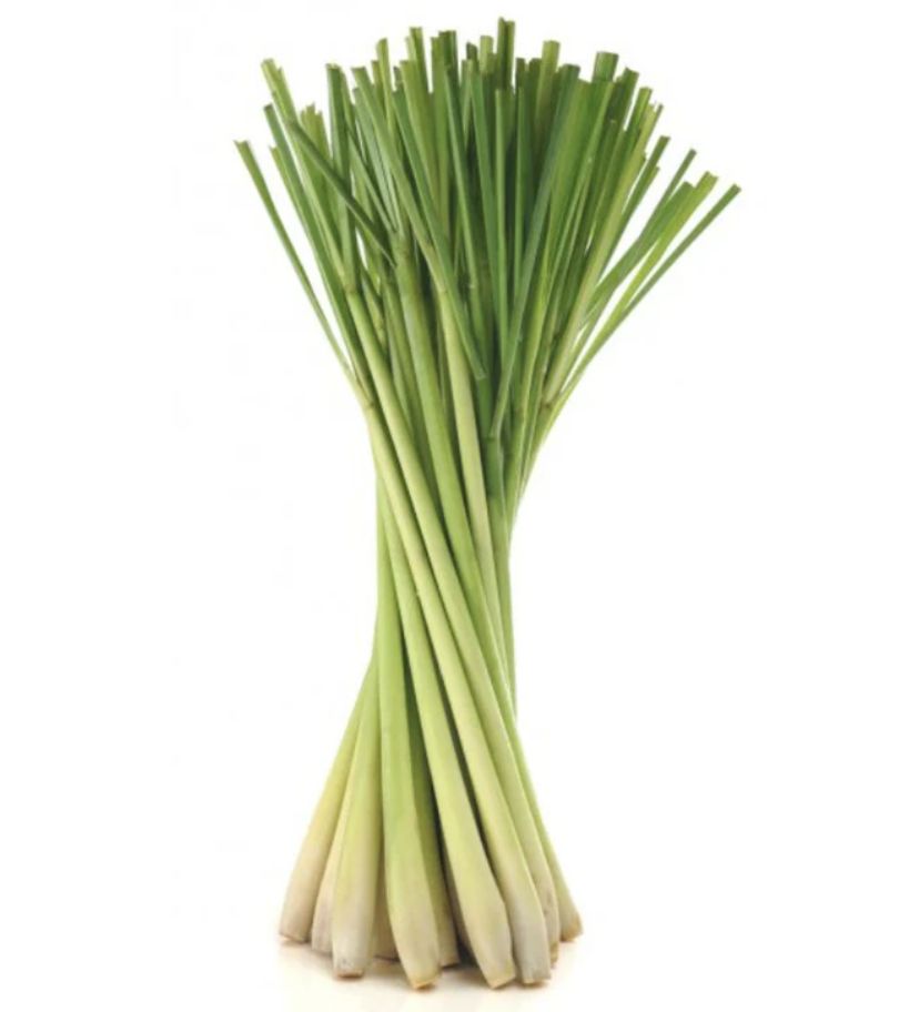Lemongrass Essential Oil