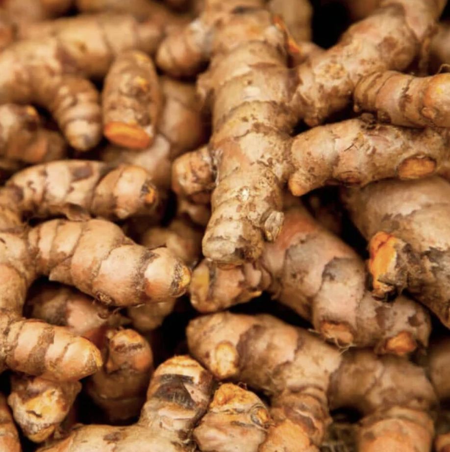 Turmeric Essential Oil