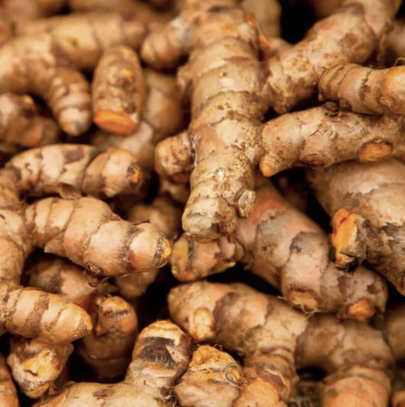 Turmeric Essential Oil