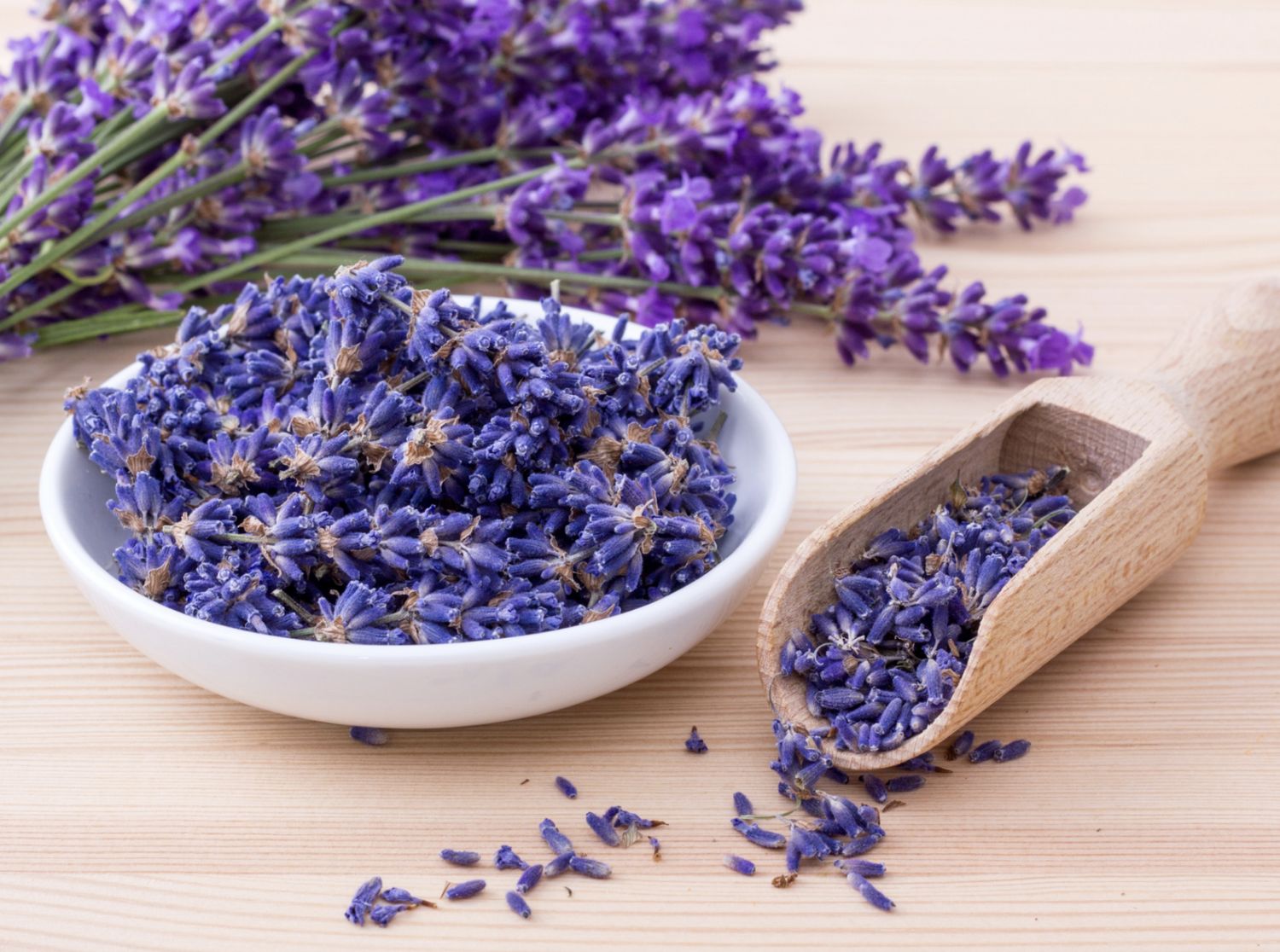 Lavender Fragrance Oil