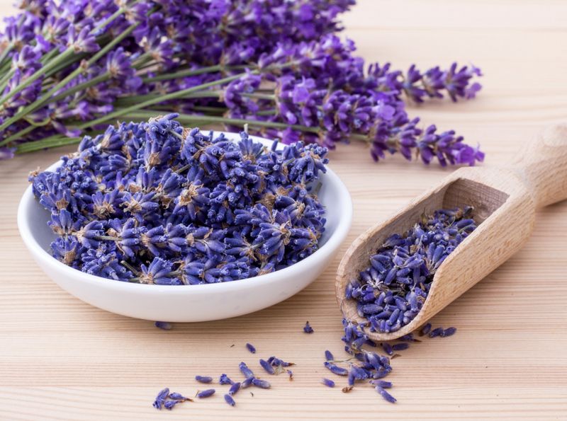 Lavender Fragrance Oil
