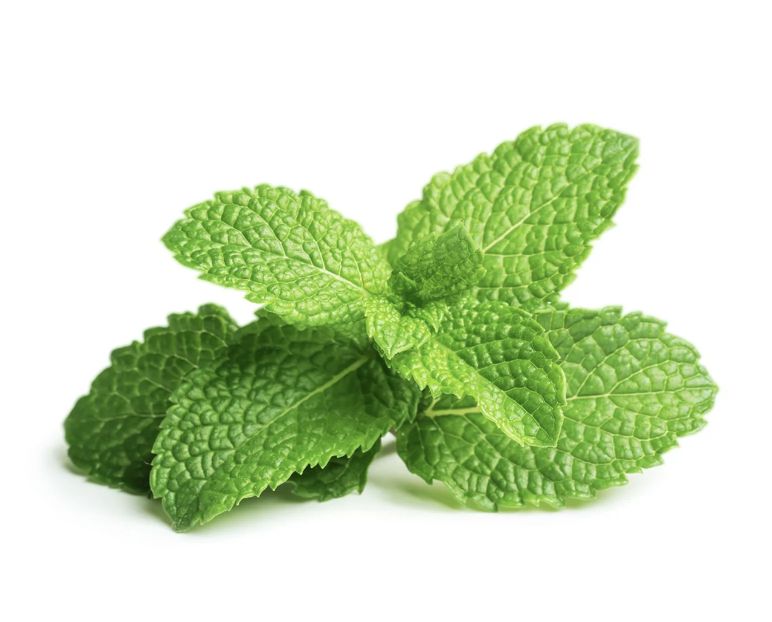 Peppermint Essential Oil