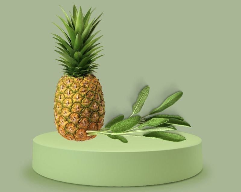 Pineapple Sage Fragrance Oil