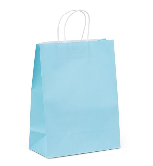 Kraft Gift Paper Bag With Handle 8x6 inches (Pack of 12)