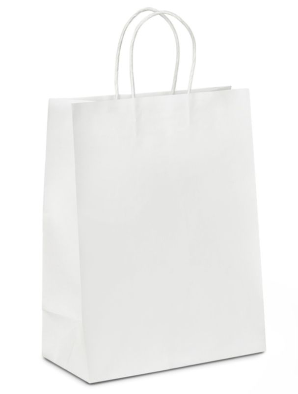 Kraft Gift Paper Bag With Handle 10x8 inches (Pack of 12)