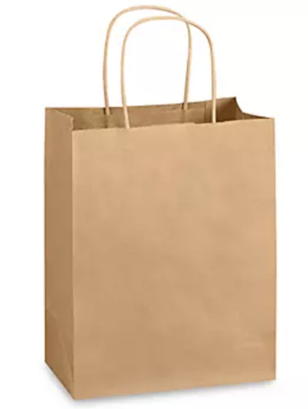 Kraft Gift Paper Bag With Handle 10x8 inches (Pack of 12), Colour: Kraft
