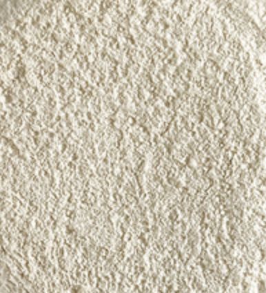 Xanthan Gum