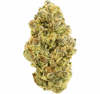 Gorilla Glue #4