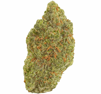 Zimosa