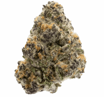 Purple Haze
