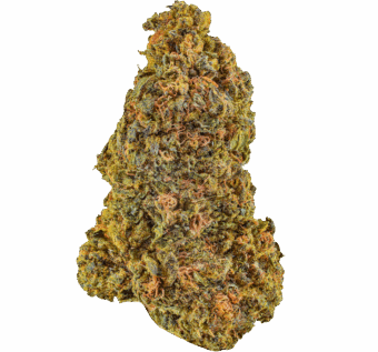 Durban Poison